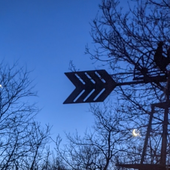 Meet your Posher, Sherry - Picture 9 of 16